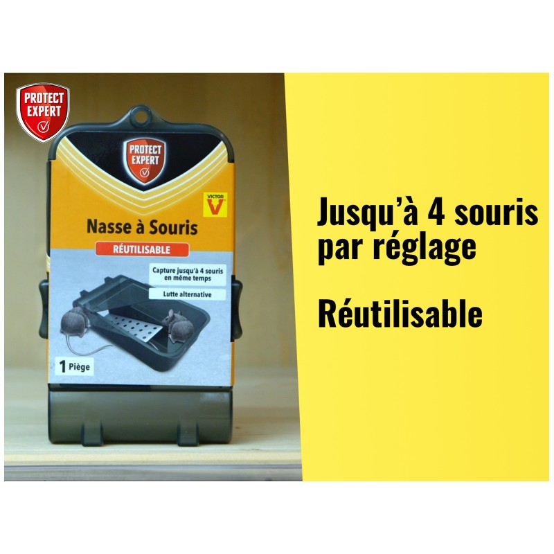 Generic Duo Pièges à Souris 2 pieges pliables anti-souris a Colle forte attrape  souris à prix pas cher