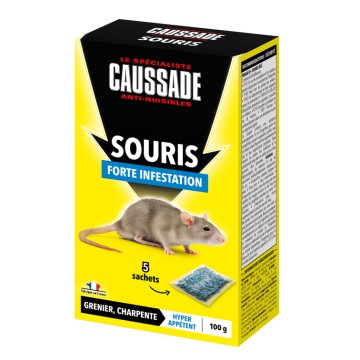 Pâte - Rats et Souris - Lieux Secs et Humides