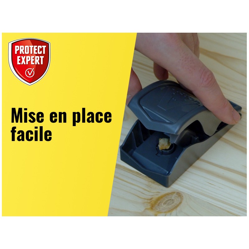 Pack tapette à souris - anti souris efficace - ProtectHome