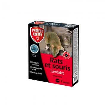 10 plaques piège à glu anti souris - Trapper Ltd