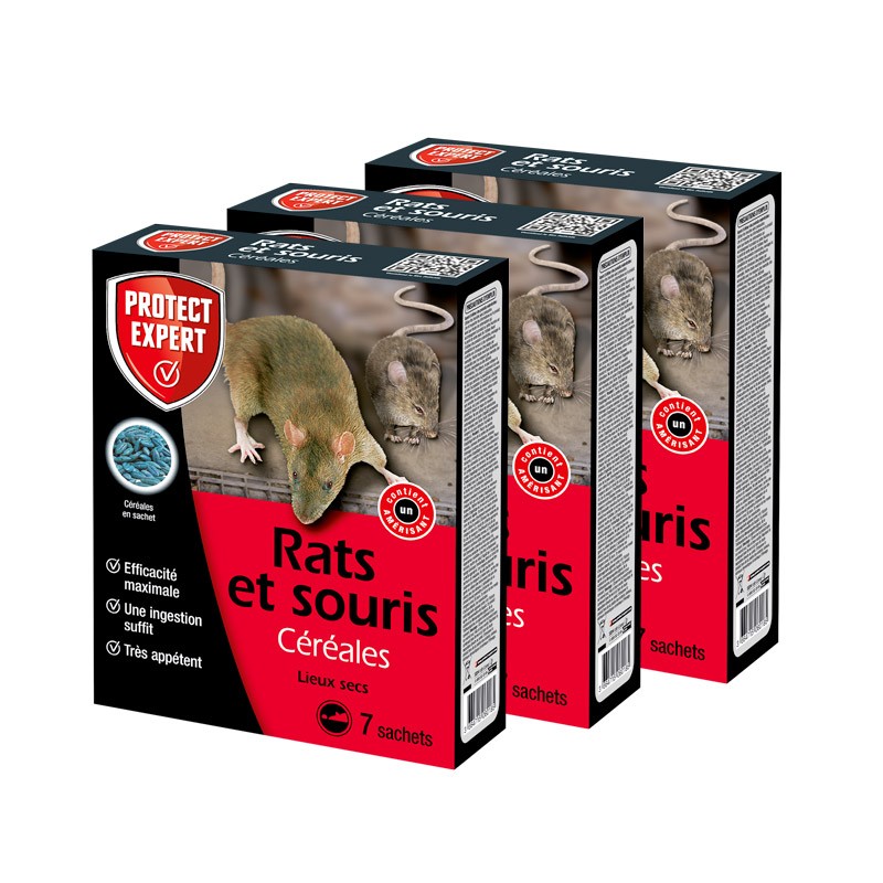 Kit complet anti rat et souris Boite à appât + 12 appâts