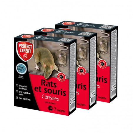 Céréales - Rats - Lieux secs x 3