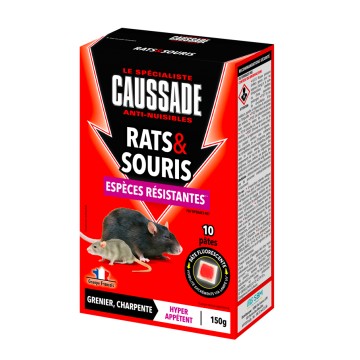 Rats et Souris -...