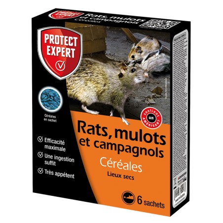 Céréales - Rats, Mulots et Campagnols