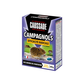 Pâtes - Campagnols